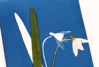 L&rsquo;Atelier des Epatants