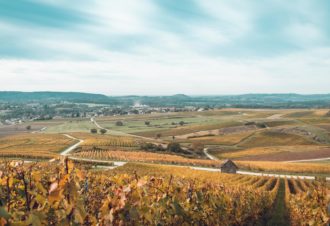 Domaine Baud Génération 9