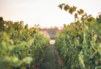 Domaine Laura Bourdy