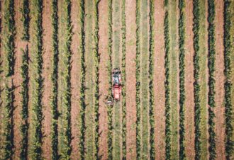 Domaine Laura Bourdy