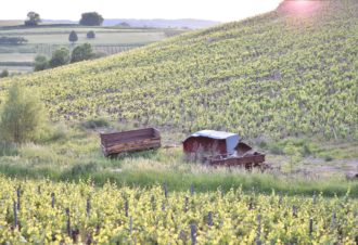 Domaine Fumey Chatelain