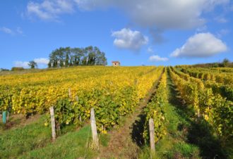 Domaine de la Petite Marne – Noir Frères