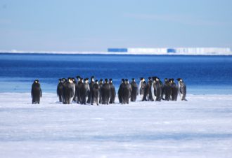 Lucas Humbert – Accompagnateur en Montagne