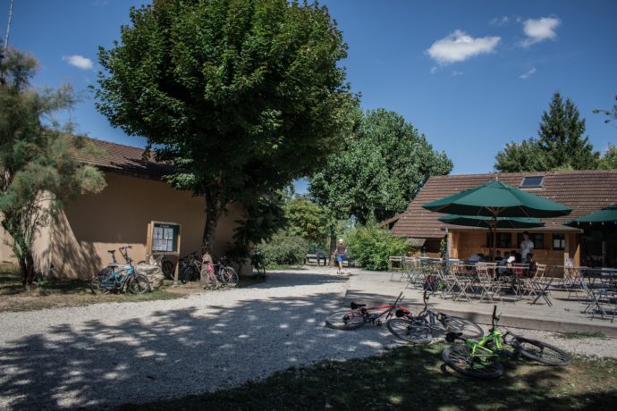 Location vélo