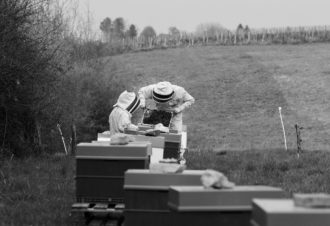 Julien COMPAGNON – Apiculteur professionnel