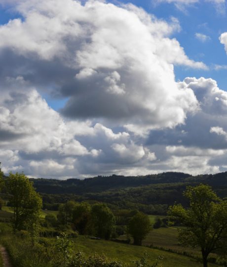 L&rsquo;éco de nos pas