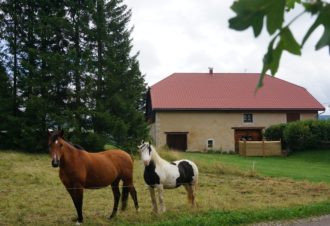 Studio « Le bois gentil »