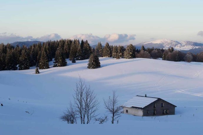 L’hiver sous la neige