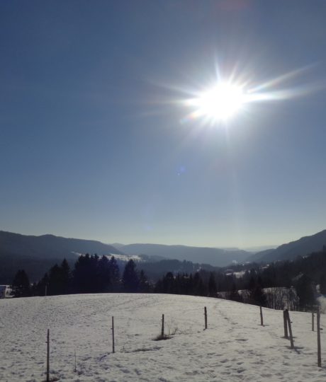 Belvédère du Sacré Coeur