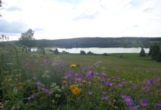 Belvédère sur les Lacs