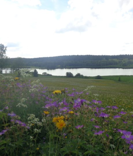 Belvédère sur les Lacs