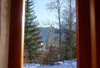 Chalet le Dahut (4 personnes + Clic-clac)