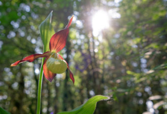 Jean-Baptiste Strobel – Guide naturaliste, accompagnateur en montagne