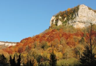 Vieux château