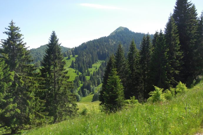 DSCN4367 le crêt de Chalam