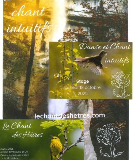 2132795Ateliers « Le Chant des hêtres »