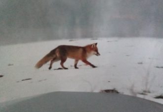 En soi par nature – David Fatet