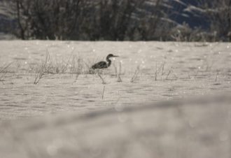 En soi par nature – David Fatet