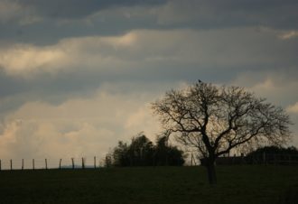 En soi par nature – David Fatet