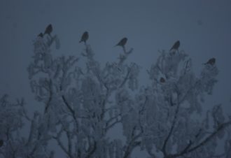 En soi par nature – David Fatet