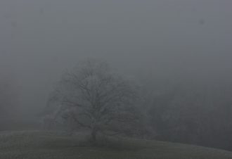 En soi par nature – David Fatet