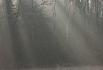 En soi par nature – David Fatet