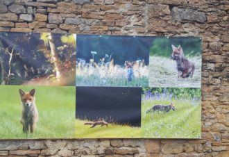 Exposition Photo Nature – parcours extérieur