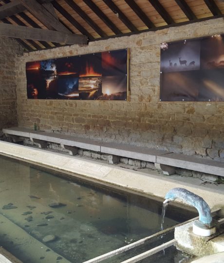 Exposition Photo Nature – parcours extérieur