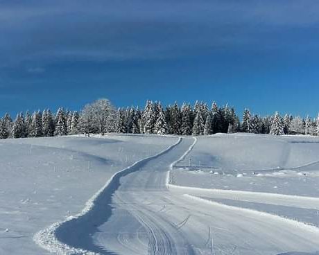 Site Nordique de Longchaumois