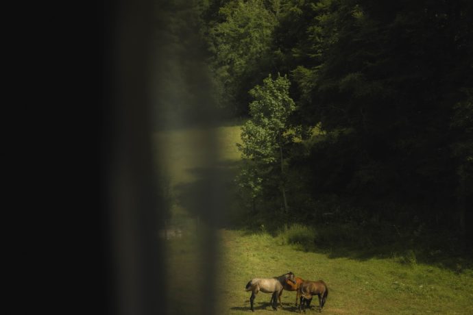 ETOILES_BEVY_CHALET_©MARIKA_GODIN_BFC_TOURISME (23)