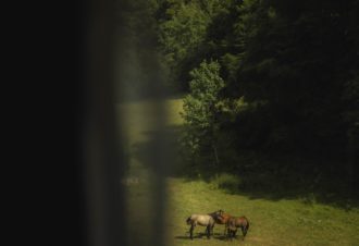 Les Étoiles de Bevy  – Chalet mobile Licorne