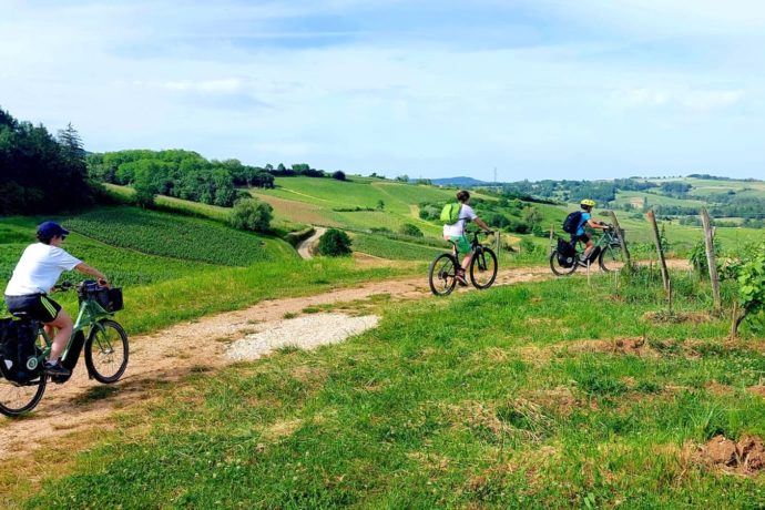 En balade à vélo dans les vignes