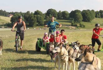 Free sled – Chiens de traîneaux / cani-rando et cani-trotinette