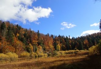Olivier Faivre – Randos Haut-Jura VTT