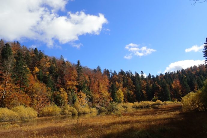 L’été Indien du Haut-Jura