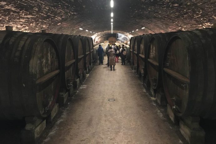 Jura visite des caves , terroir, ses vins naturels et son Vin Jaune