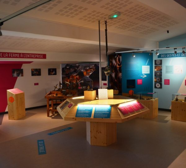 Musée des Lapidaires