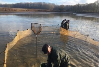 Pisciculture des Marais