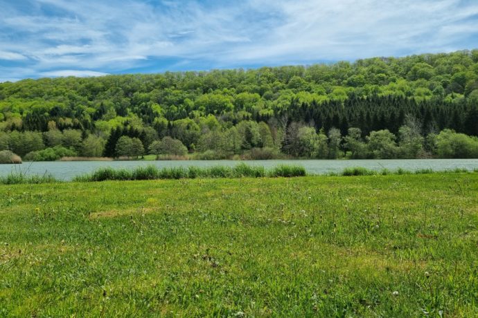 Etang de Besain @Carole D (4)