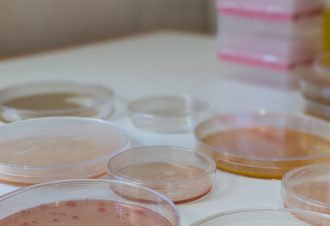 Maison & Laboratoire de Louis Pasteur