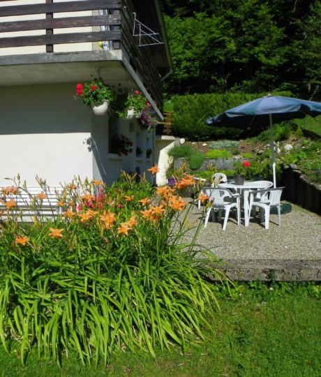 Meublé les Sapins – Mme Gay-Thevenin