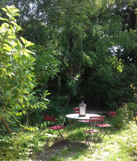 Location saisonnière – Les Narcisses