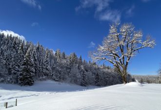 Maison de Gouland – Christian Bourquard