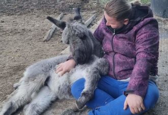 Le p&rsquo;tit coin de Ca&rsquo;Ré