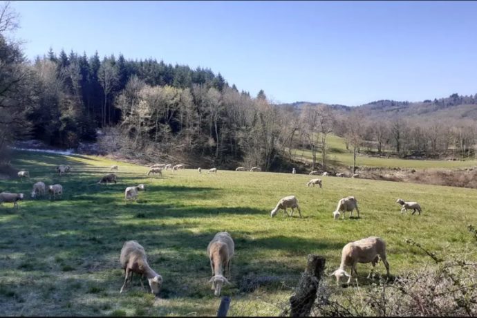 La Ferme de la Demoiselle