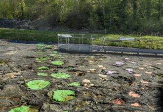 Site à pistes de dinosaures à Loulle