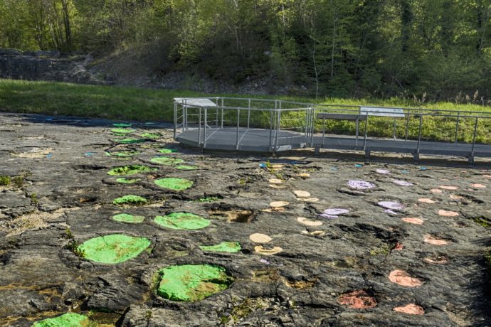 FM DIno Loulle 2019 05 – 5