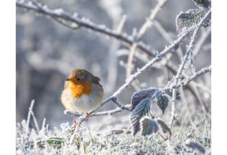 Sylvain Rouvier Photographie