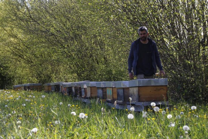 Ferme de Chantemerle 2024 (1)