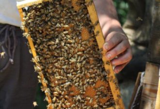 La Ferme de Chantemerle